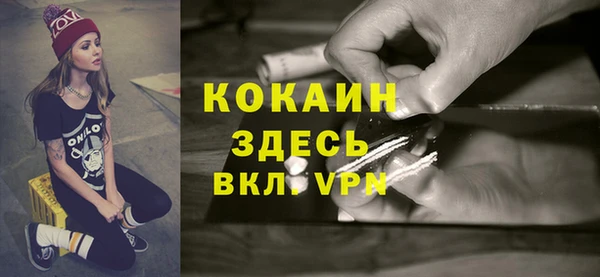 твердый Аркадак