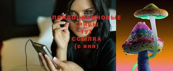 твердый Аркадак