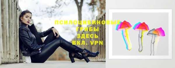 мескалин Арсеньев