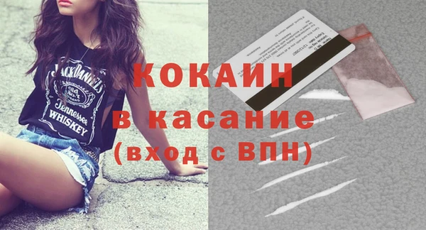 твердый Аркадак