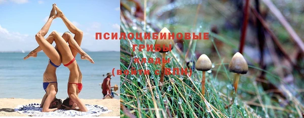 мескалин Арсеньев