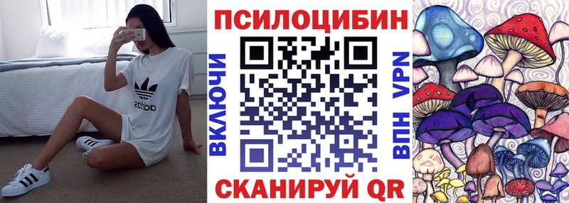 Галлюциногенные грибы прущие грибы  Тайшет 